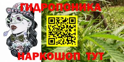 apvp Волгодонск