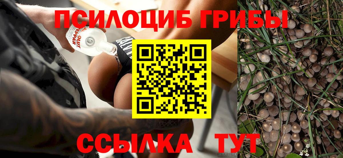 Псилоцибиновые грибы прущие грибы Моршанск